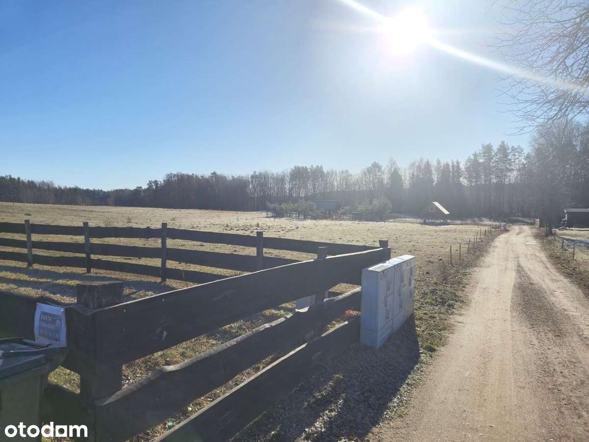 Atrakcyjna działka na Warmii.  15 km od S7 - Pełny obrazek: 4/16