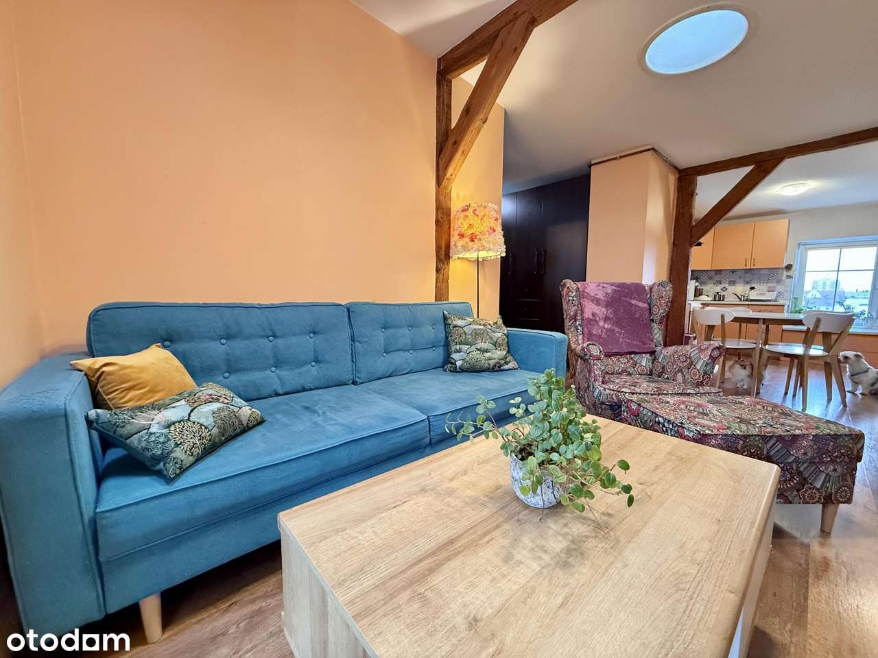 Mieszkanie   64,11 m² + 10 m² gratis | Opole, ul. 1 Maja-0