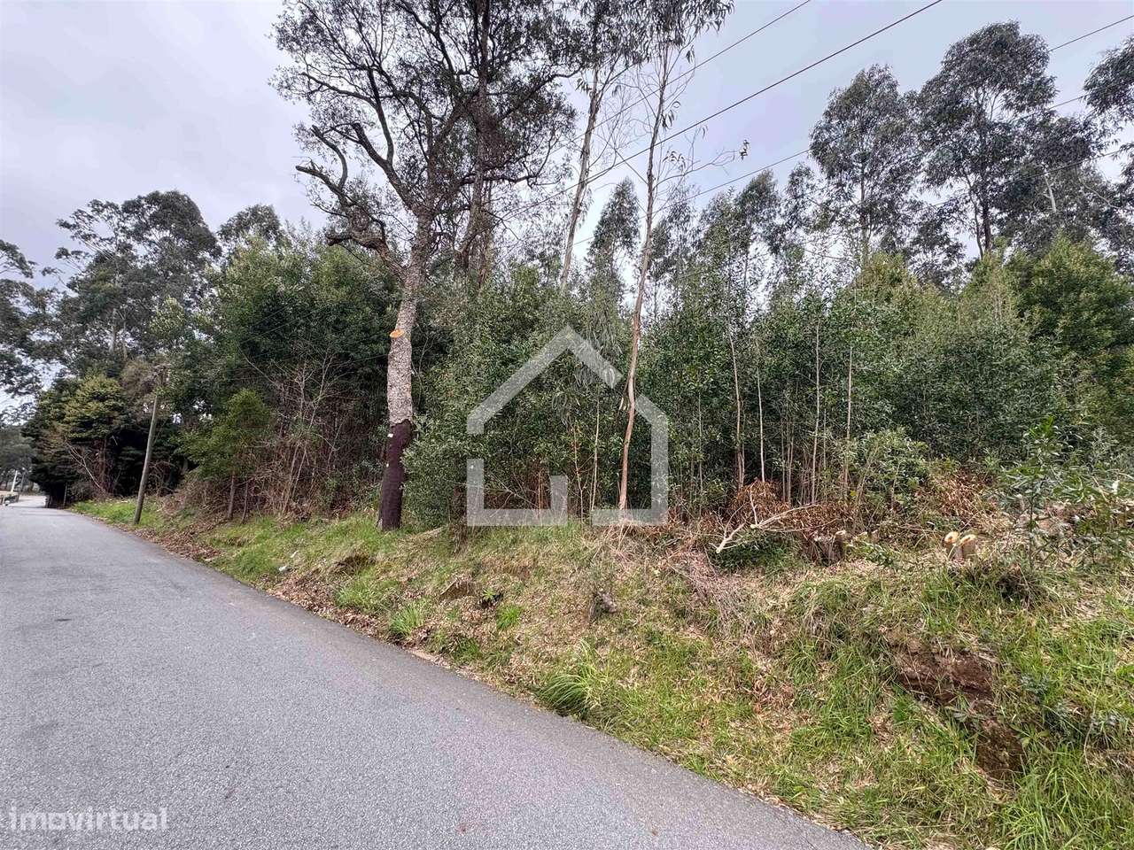 Terreno - Lourosa - Grande imagem: 4/5