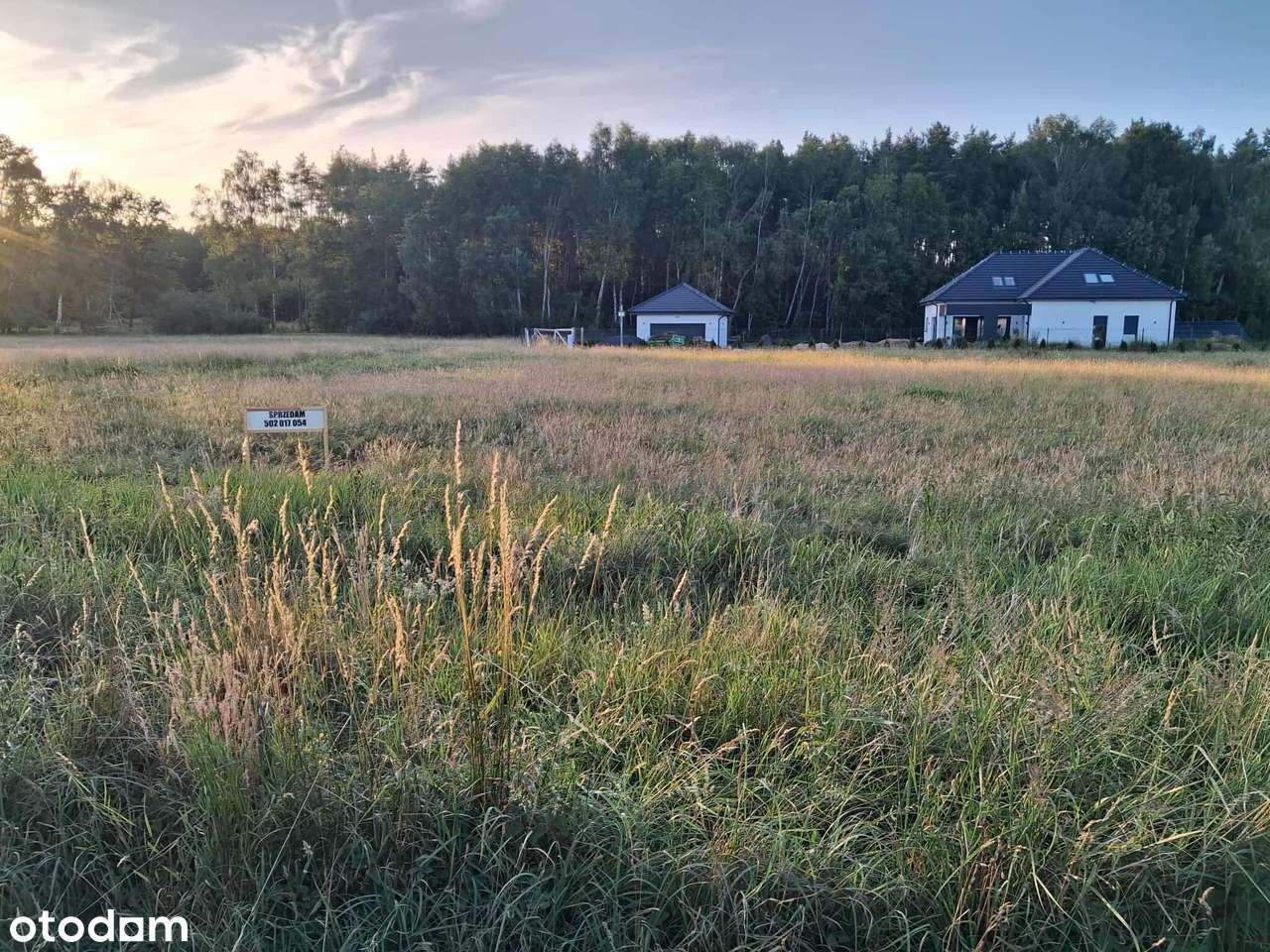 Działka w Dobrej Szczecińskiej 3555 m2 - Pełny obrazek: 4/10