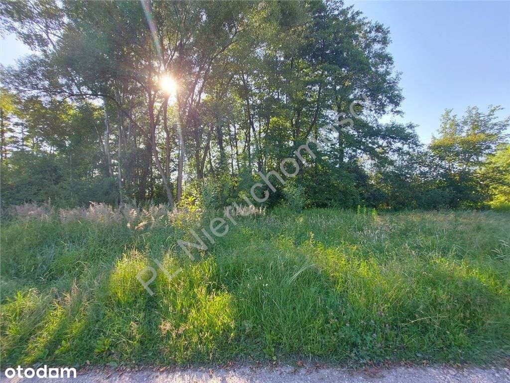 Piękna, Zielona Działka, Media, Szkoła. - Pełny obrazek: 5/7