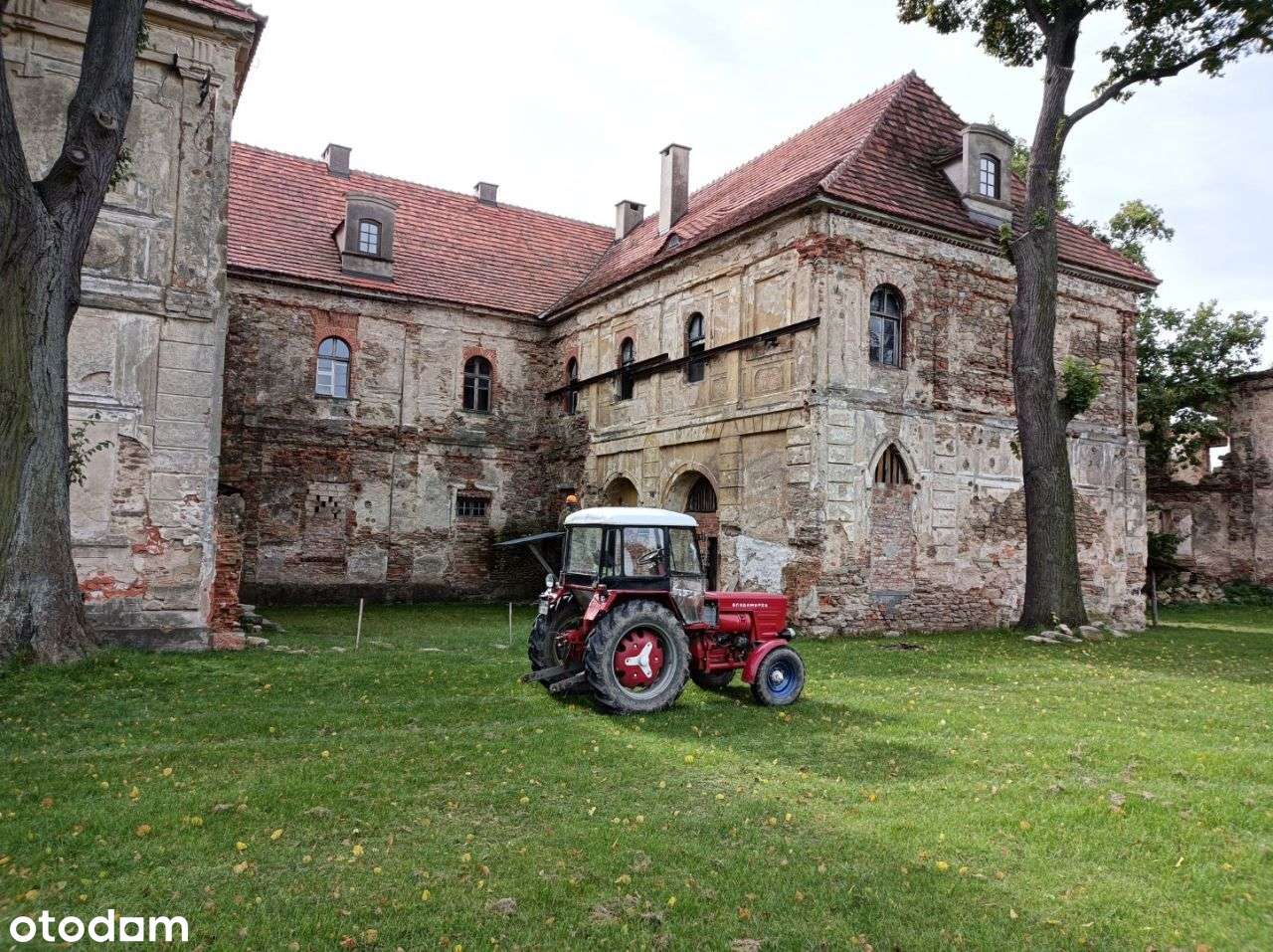 1/2 udziału nieruchomości 5,7582ha, Pałac Wierzbna - Pełny obrazek: 5/20