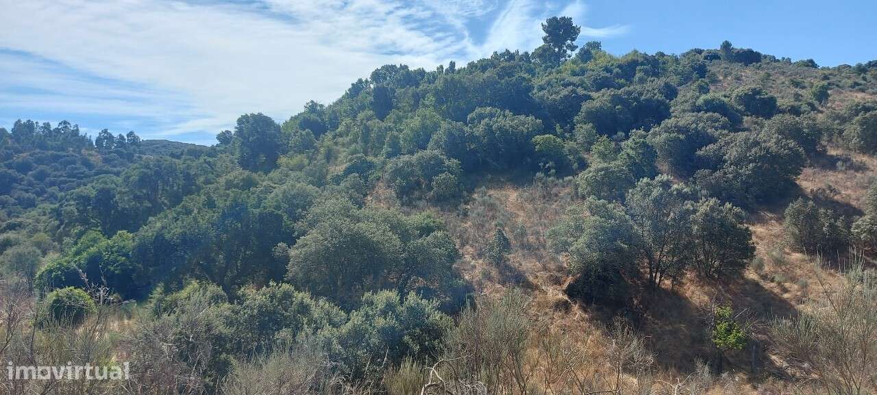 Terreno rústico em Carris, Pereiros, São João da Pesqueira - Grande imagem: 5/10