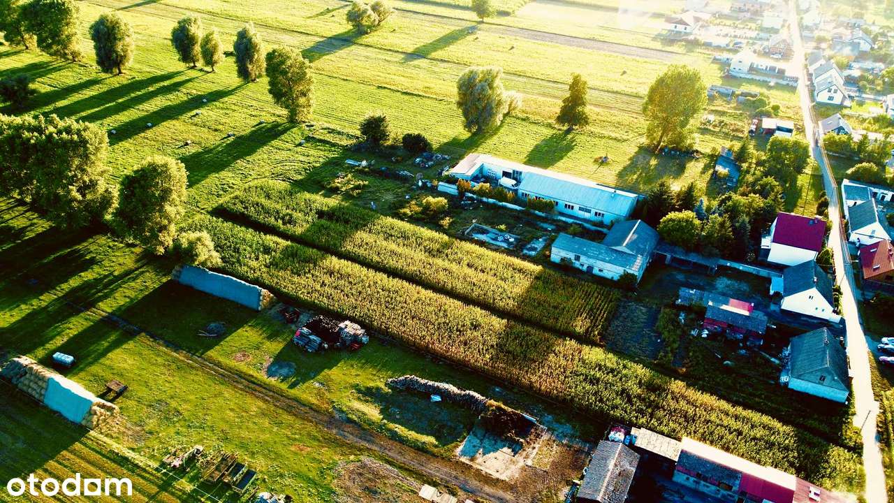 Sprzedam Wyjątkowe Siedlisko z Ogromnym Potencjałem przy DK 10 !!! - Pełny obrazek: 4/20