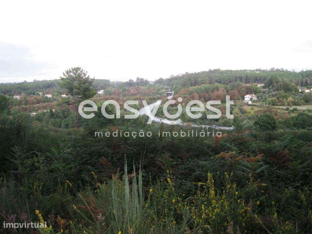 Terreno com 38.220 m2 - Couto de Cima - Grande imagem: 2/4