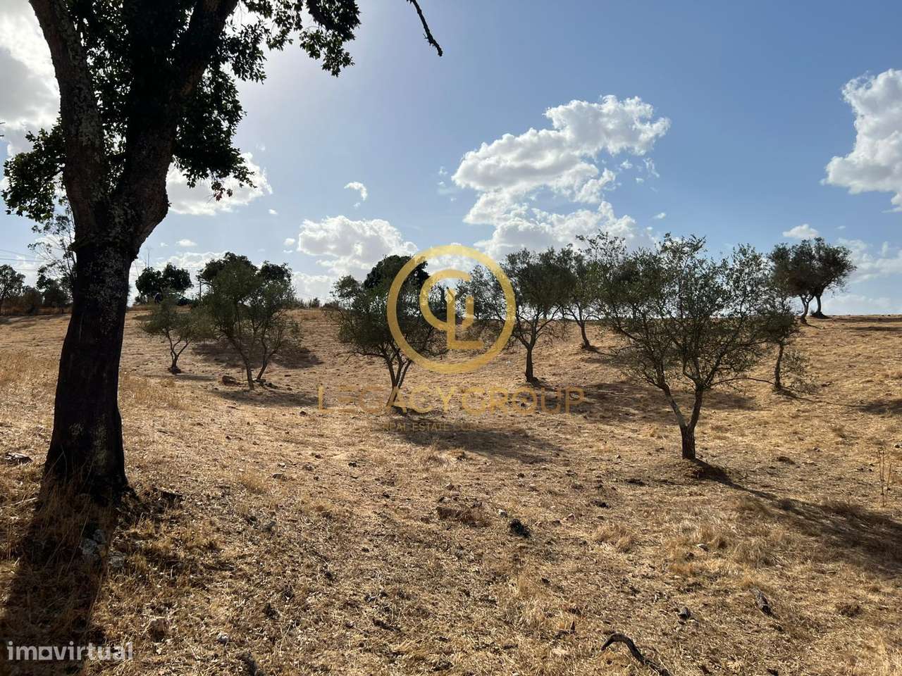 Conjunto de Propriedades em Serpa – 32,750 Hectares - Grande imagem: 4/51