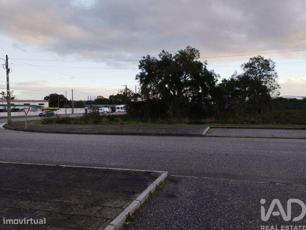 Terreno em Ponte de Sor, Tramaga e Vale de Açor de 3346,00 m2 - Grande imagem: 4/7