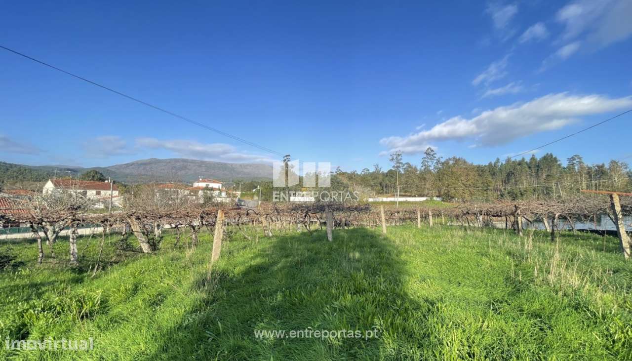 Venda de terreno para construção com 1000m², Meixedo, Viana do Cast - Grande imagem: 3/23