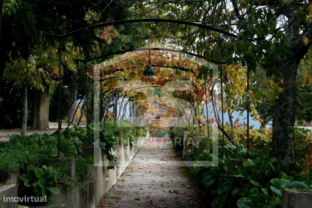 Douro Vinhateiro, Quinta Turística-36