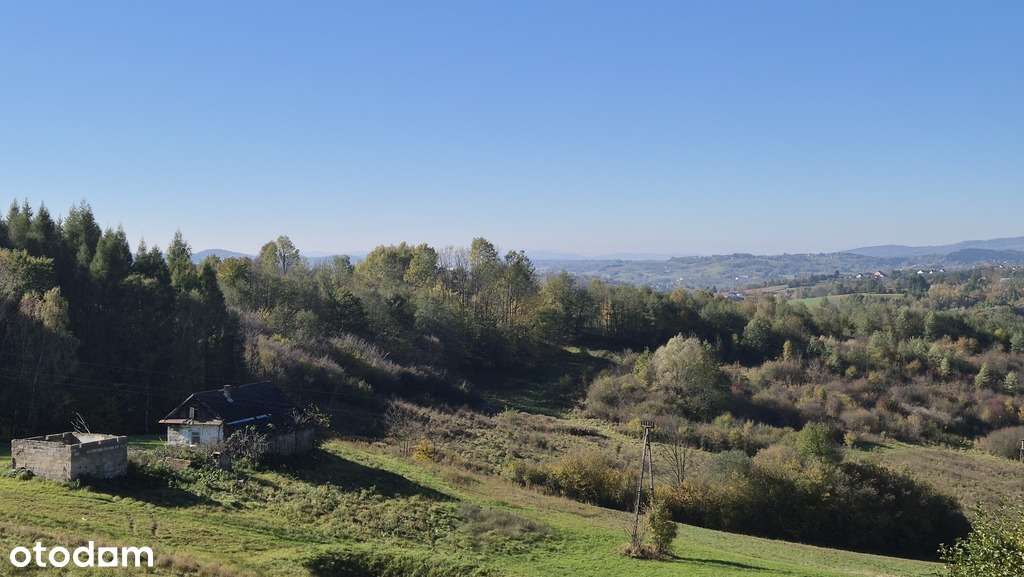 Gospodarstwo z domem 4ha ziemi-11