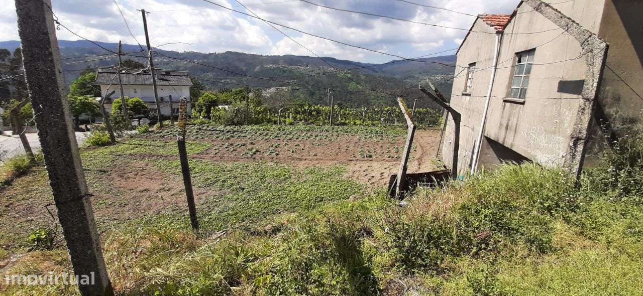 Terreno – Oliveira de Frades - Grande imagem: 2/29