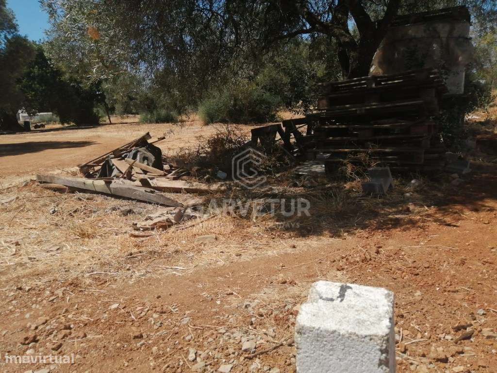 Terreno rústico, no Concelho de S. Brás de Alportel, Algarve - Grande imagem: 2/18