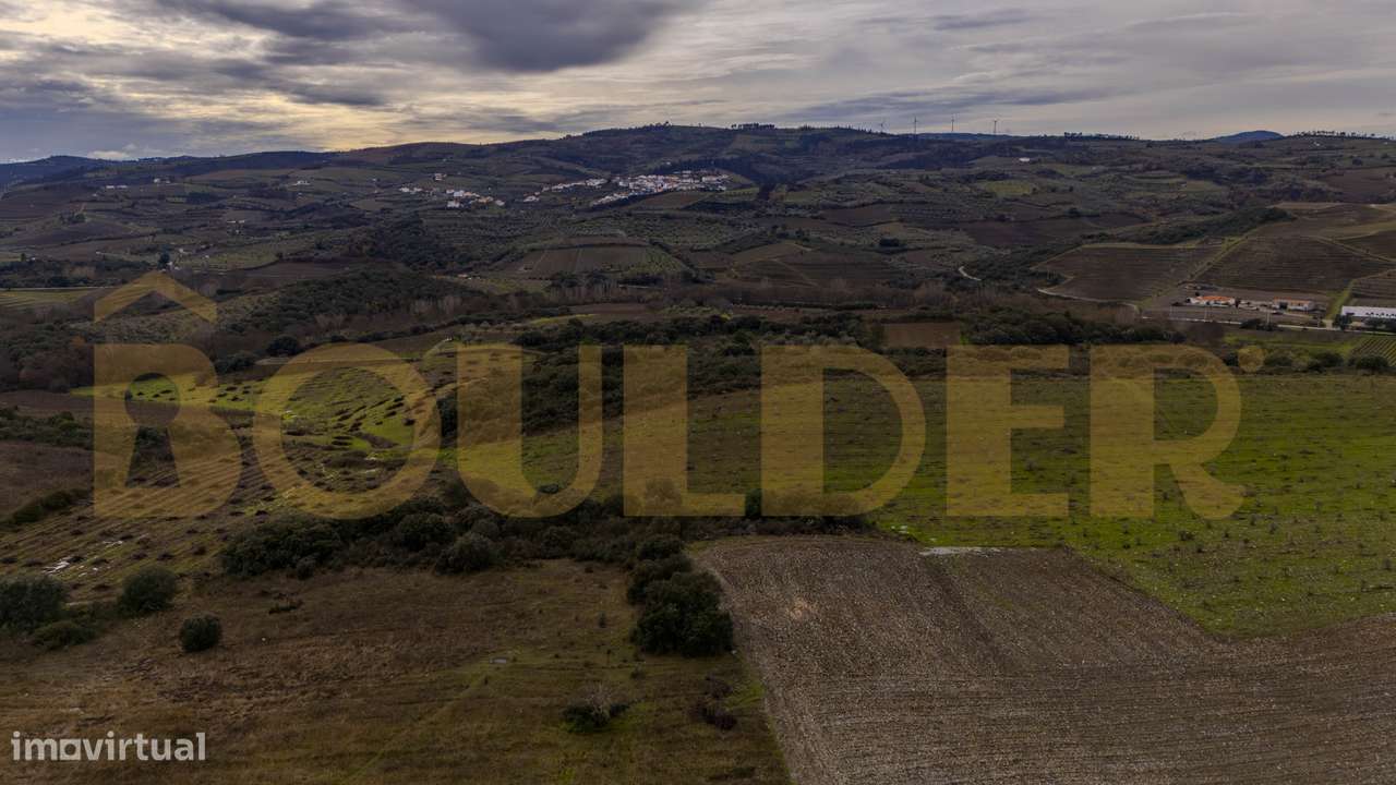 Quinta do Arieiro - Cedovim | Vila Nova de Foz Côa | Douro Superior - Grande imagem: 2/52