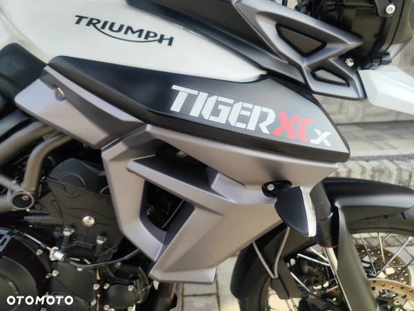 Triumph Tiger - 28