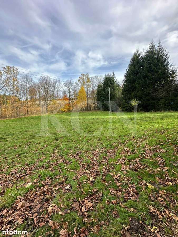 Działka w podgórskiej miejscowości Świeradów Zdrój-6