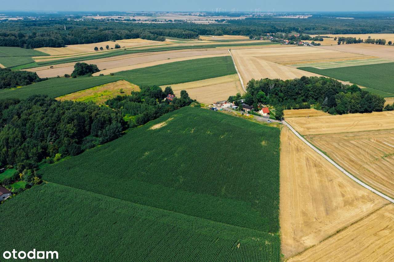 Działki na sprzedaż powierzchnie od 656 do 813 m2-5