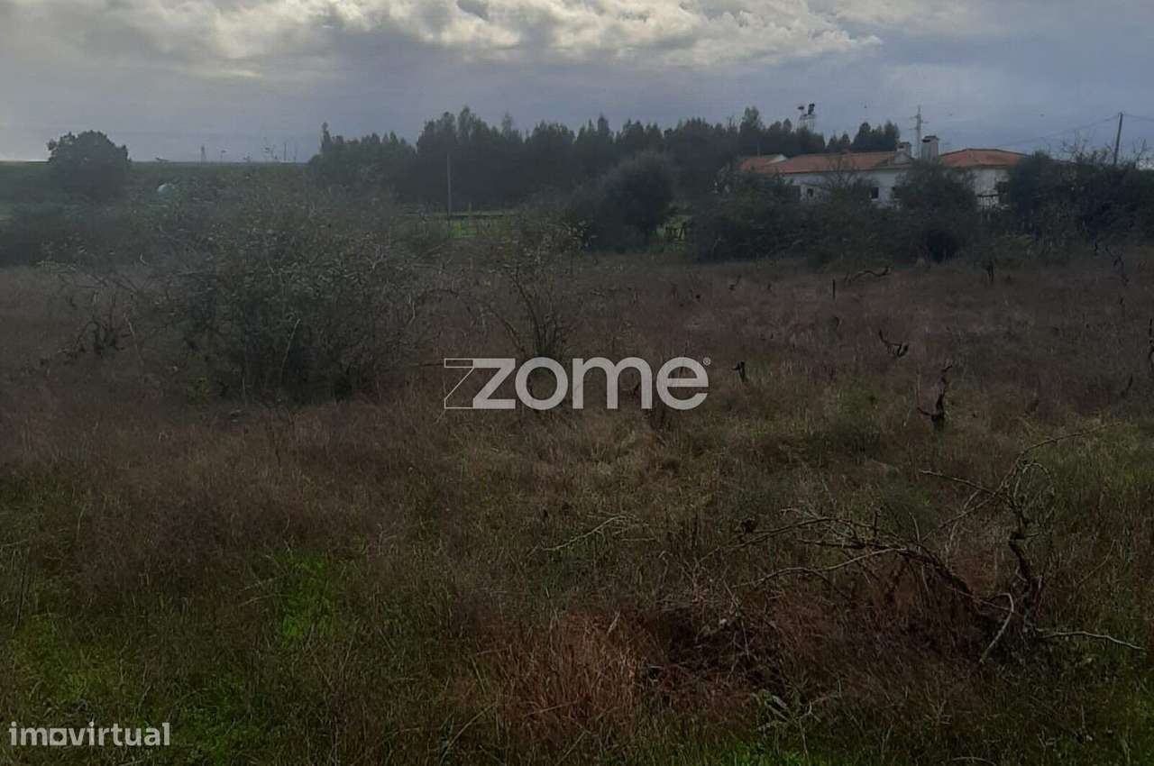 Terreno Rustico em Poceirão - Grande imagem: 4/9