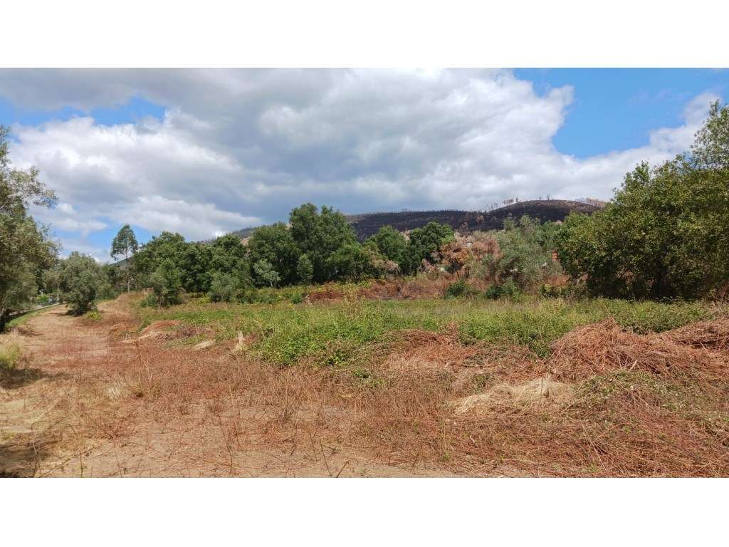 TERRENO MISTO | MELRES | GONDOMAR-7