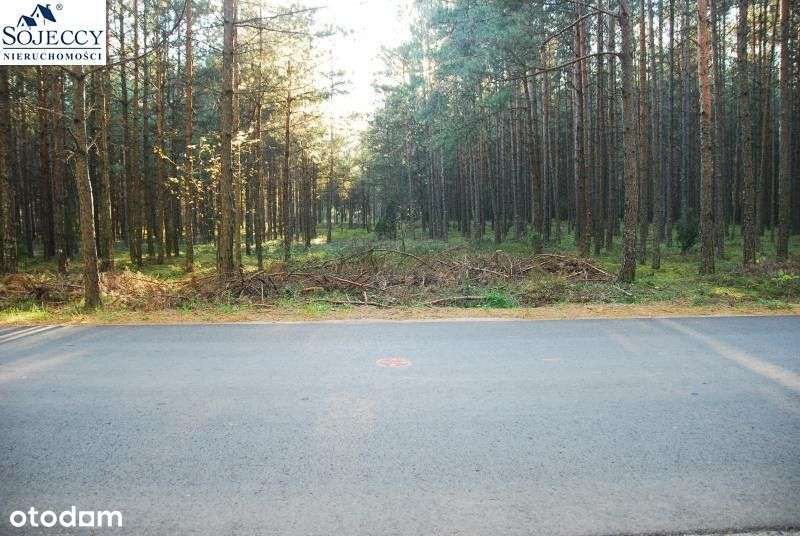 Działka siedliskowa - Krzyż - 12 001 m2-5