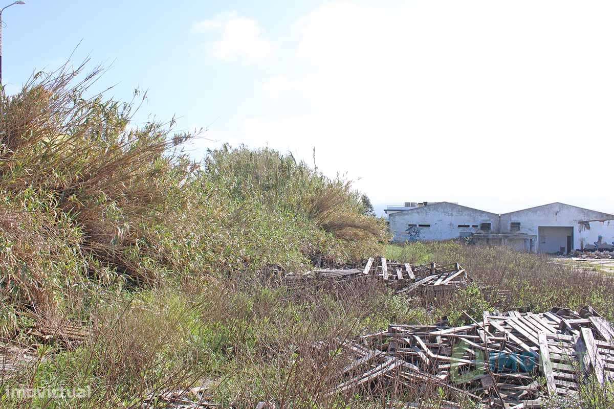 Lote de Terreno-37