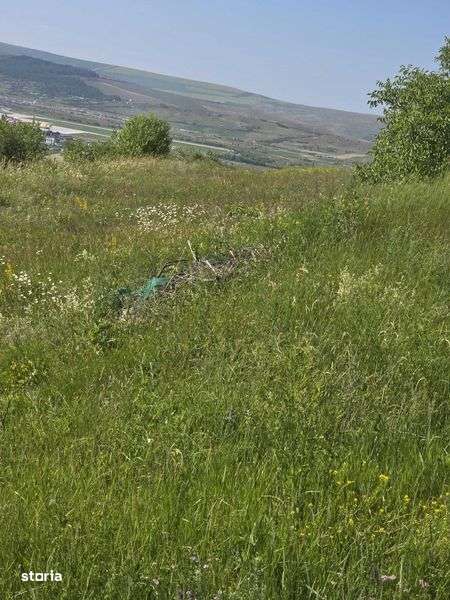 Teren intravilan Desmir - Imagine principală: 5/7