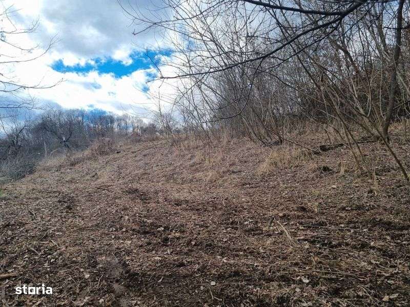 Teren extravilan si intravilan de vanzare in Valcea, Opatesti - Imagine principală: 5/8