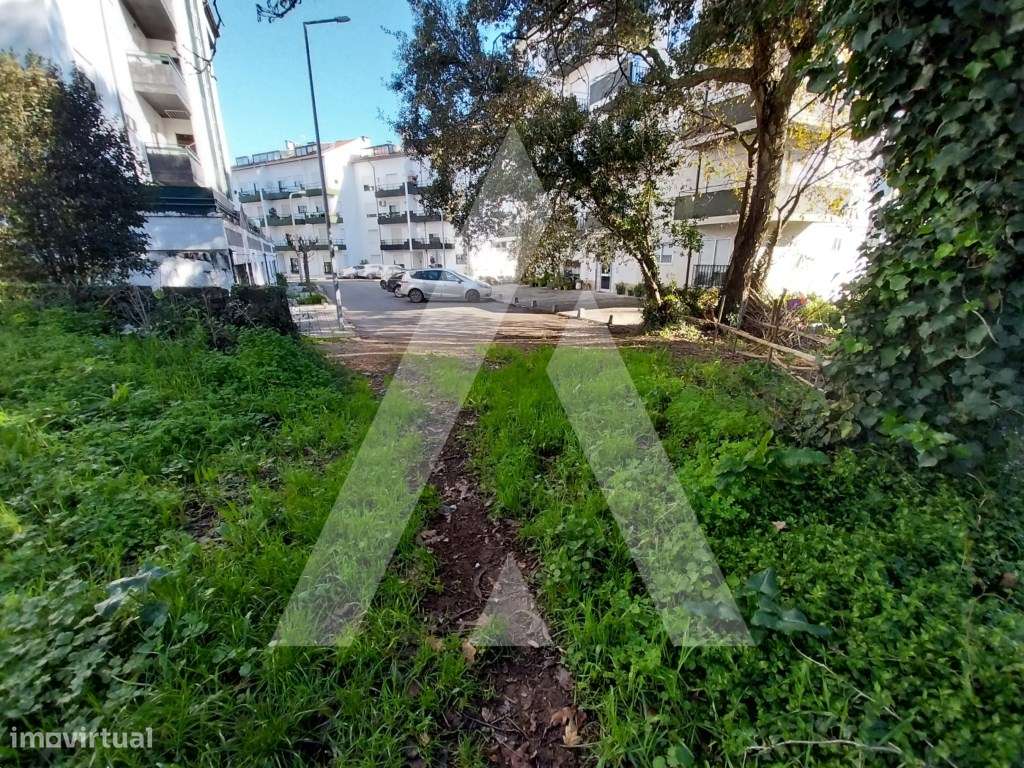 Terreno em Albergaria-a-Velha - Grande imagem: 4/25