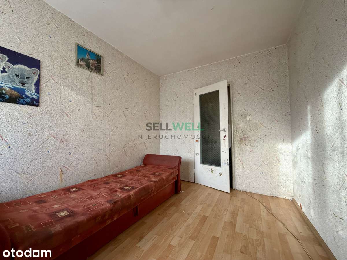 Rozkładowe M3 - łódź, Teofilów - Pełny obrazek: 4/14