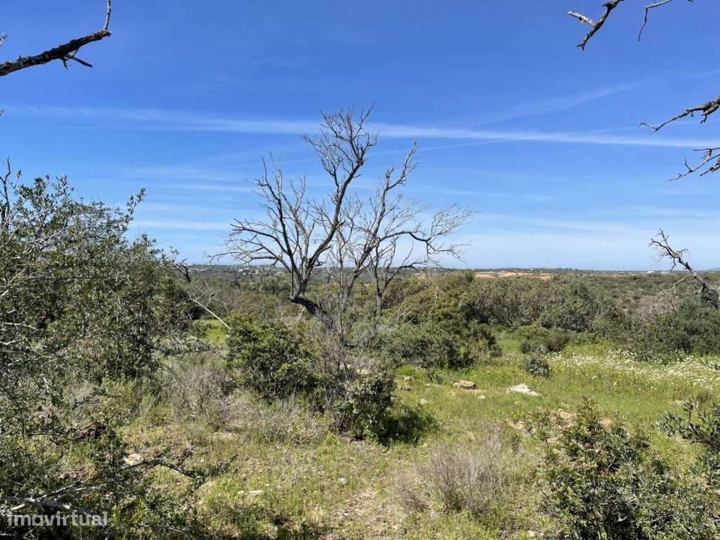 Terreno Rústico com 2160 m2 em Paderne - Albufeira, Algarve - Grande imagem: 3/6