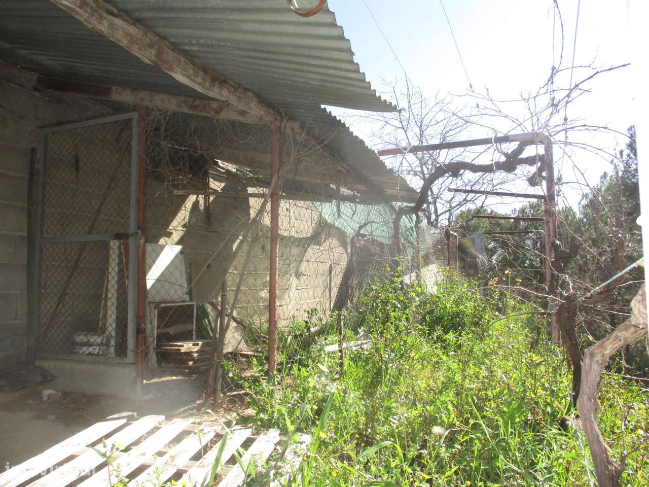 Quinta T0 Venda em Castelo Branco,Castelo Branco-14