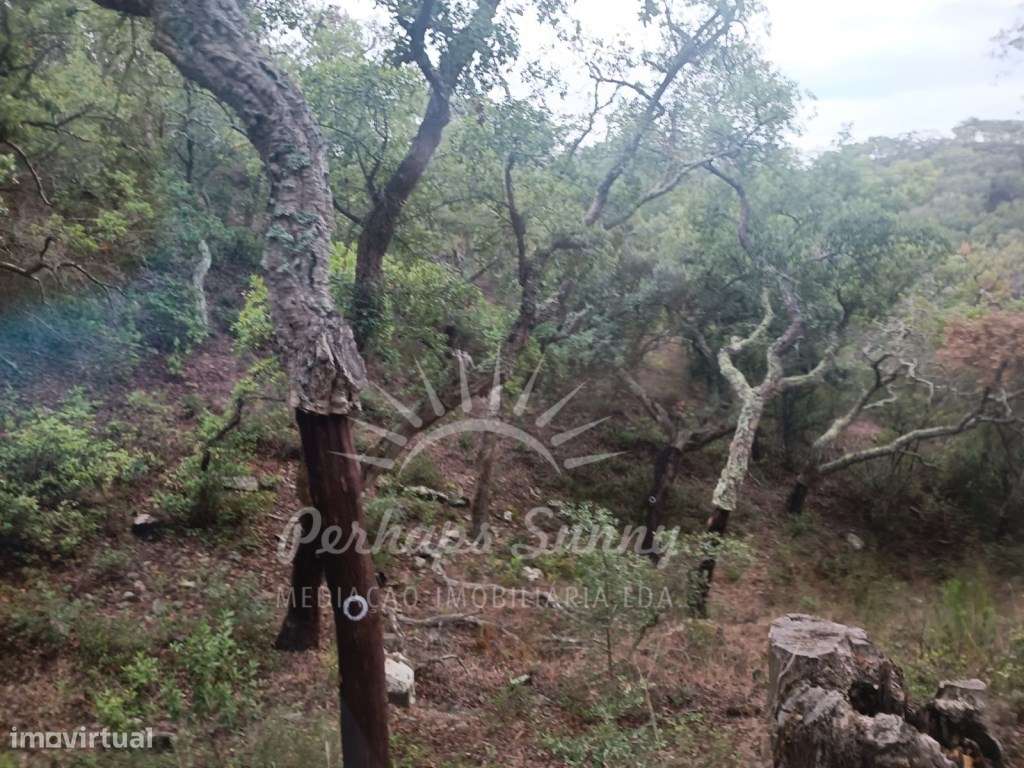 Terreno São Francisco da Serra - Grande imagem: 3/12