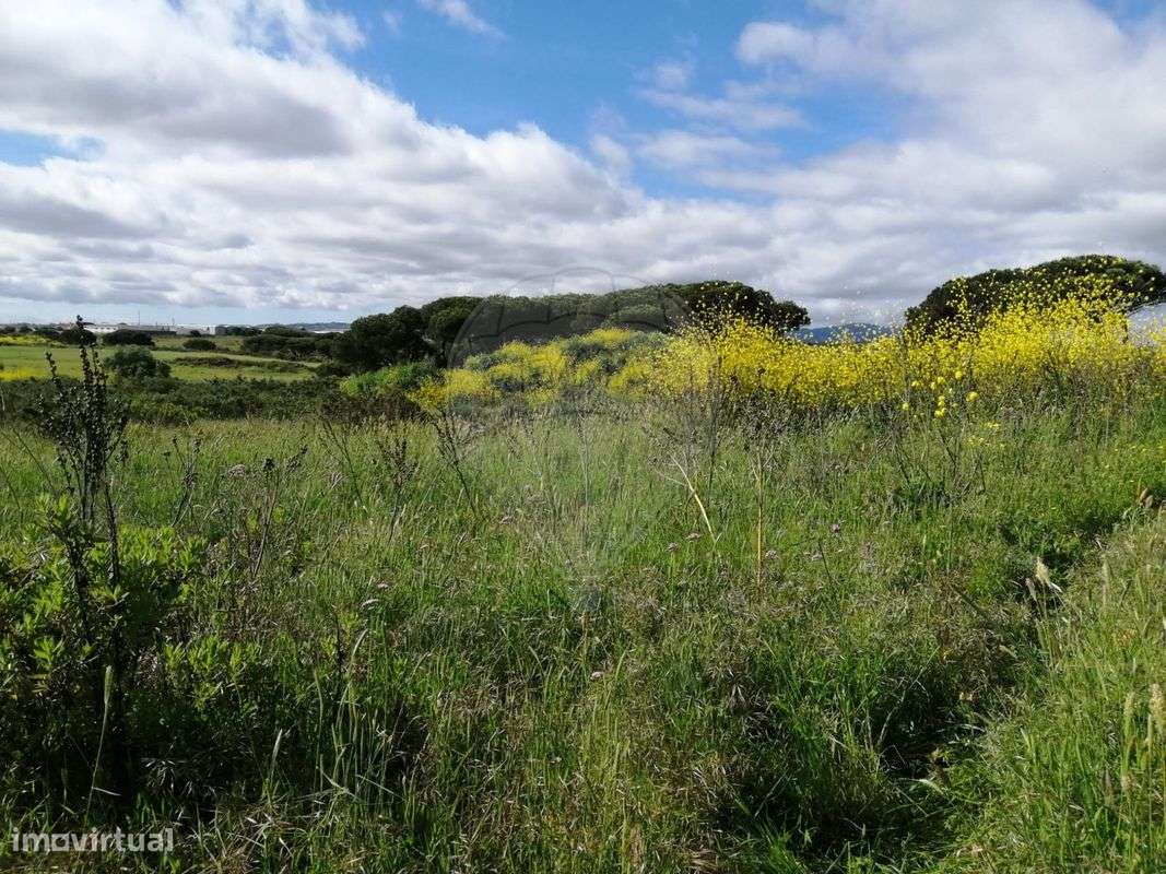 Terreno  2080 M2 - Grande imagem: 3/4