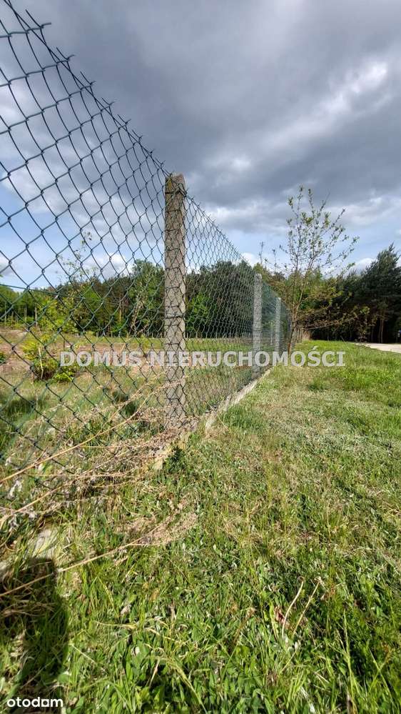 Działka - Rosanów-6