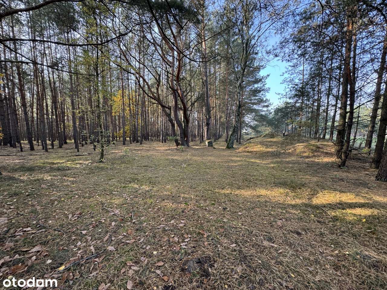 Działki budowlane na sprzedaż - Pełny obrazek: 4/8