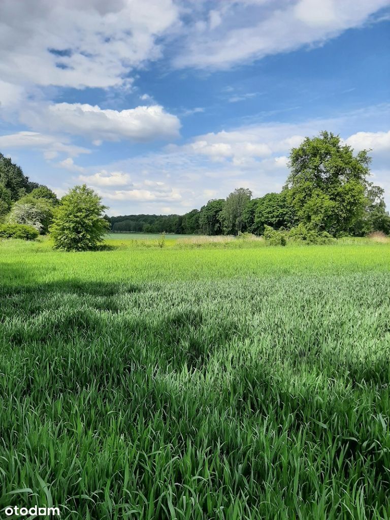 Działka blisko jeziora 7000m2