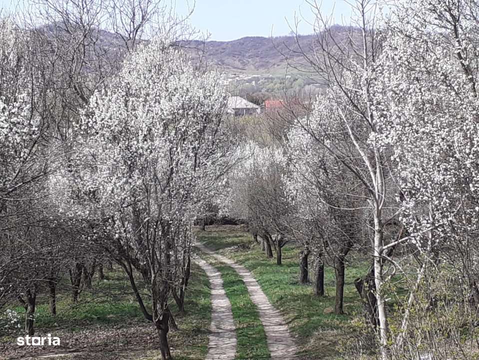 Oferta casa  Pucioasa 110mp construiti  5286mp teren - Imagine principală: 5/15