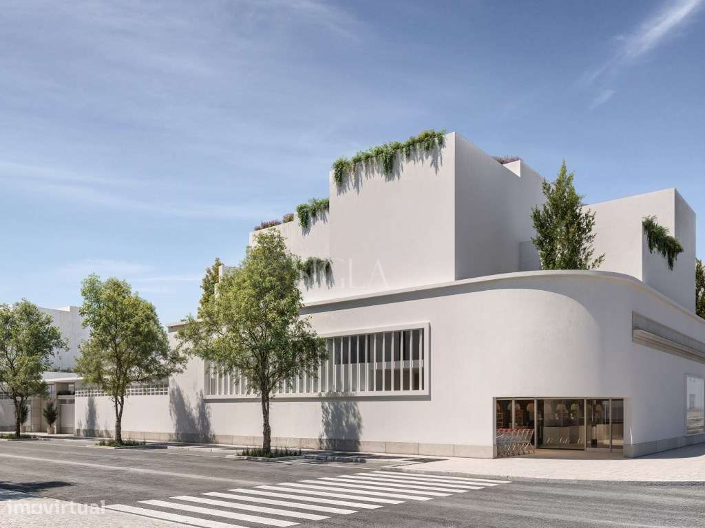 T2 em Matosinhos - Grande imagem: 5/11