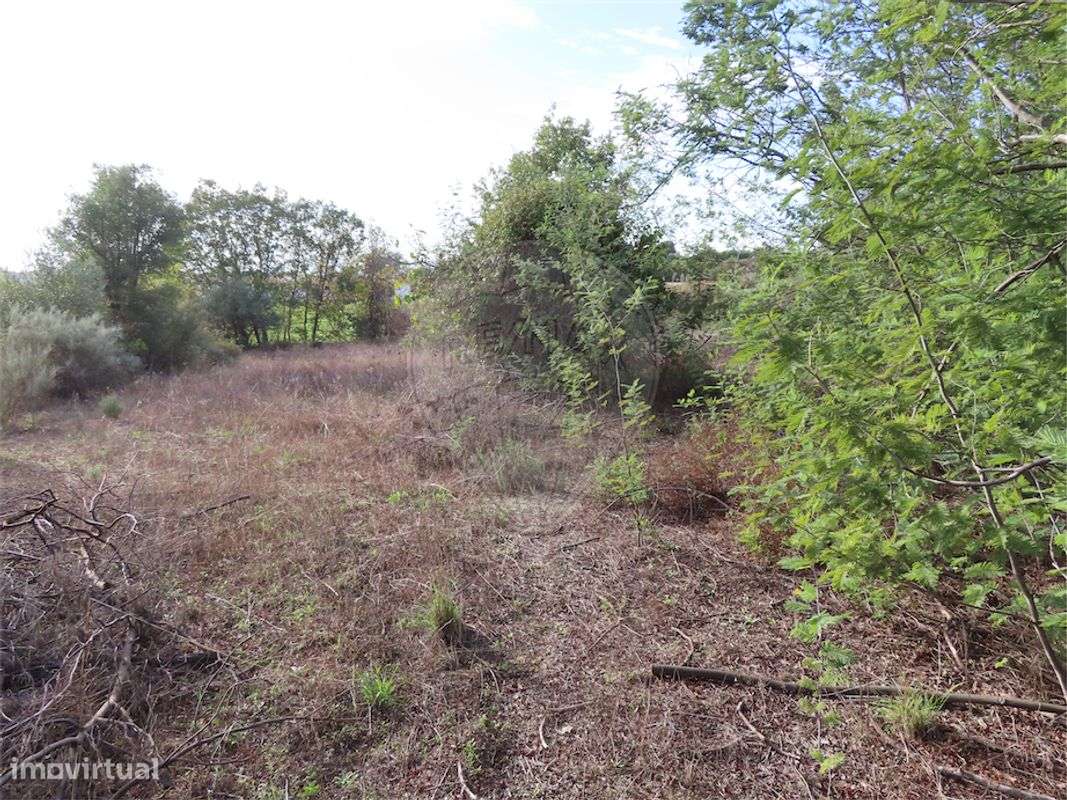 Quinta  para venda - Grande imagem: 2/25