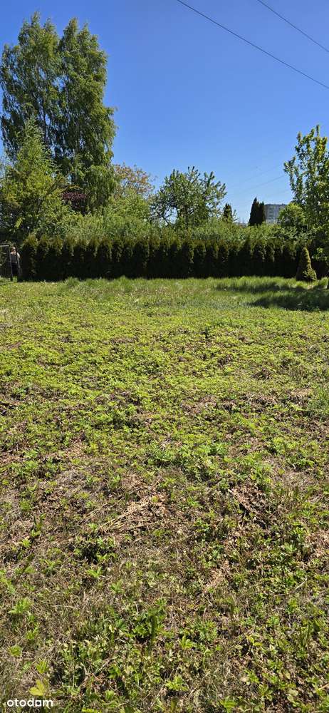 Działka ROD Gdańsk Stogi blisko morza - Pełny obrazek: 4/7