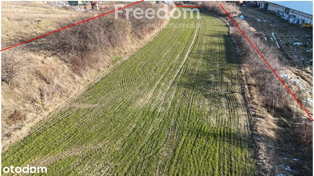 Dom z dodatkowymi działkami - Pełny obrazek: 4/17