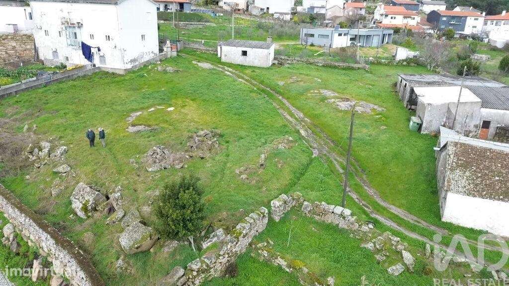 Terreno para construção em Alijó - Grande imagem: 5/13