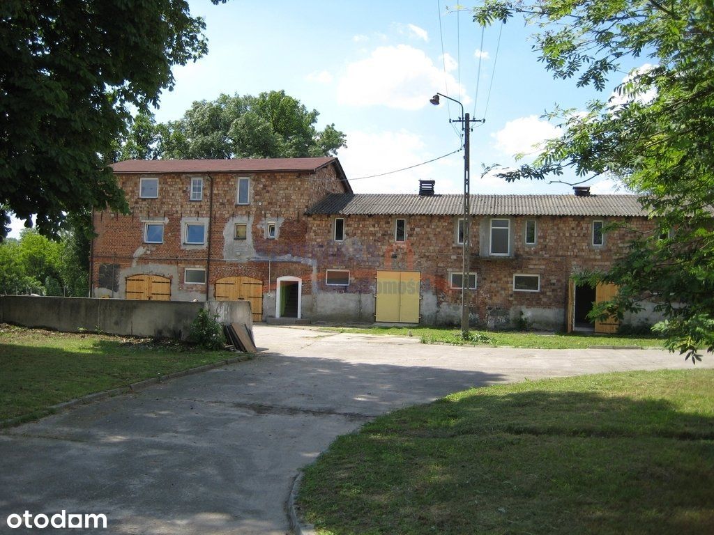 Lokal użytkowy, 1 985 m², Niekarzyn