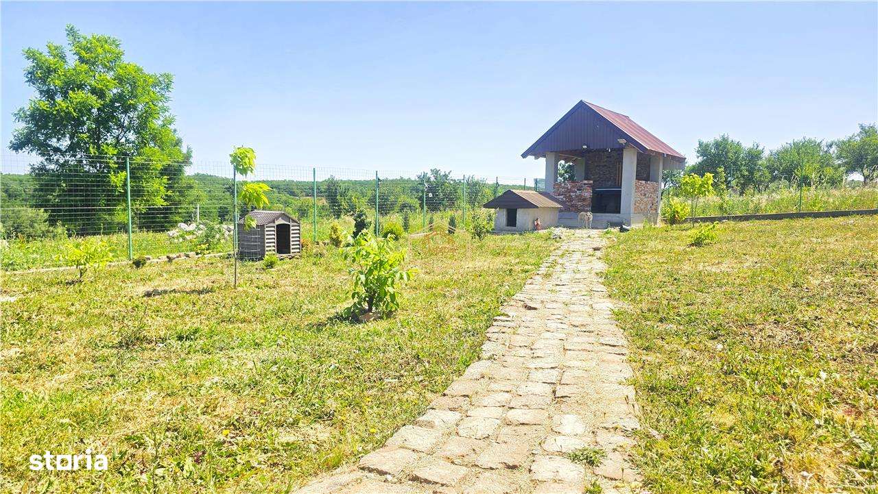 VIDEO | Loc de casa, cabana sau turism - Ardud | Vedere spre Satu Mare-10