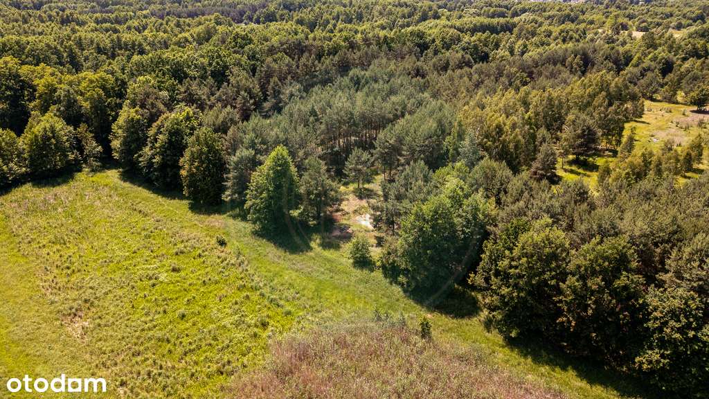 Malownicza nadbużańska działka blisko Warszawy-6