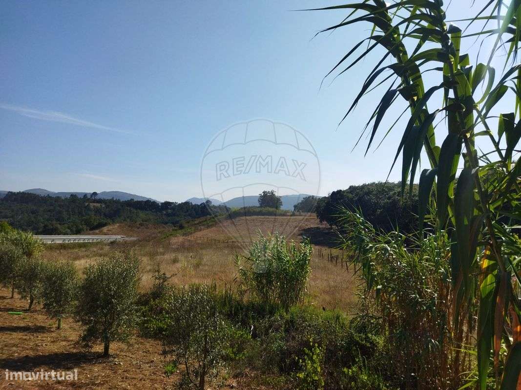 Terreno  para venda - Grande imagem: 5/8