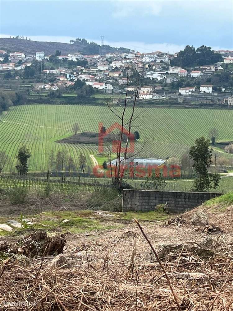 Lote de Terreno para construção com 700m2 em S. Martinho do Campo, San-12