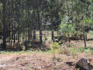 Terreno - Grande imagem: 5/7