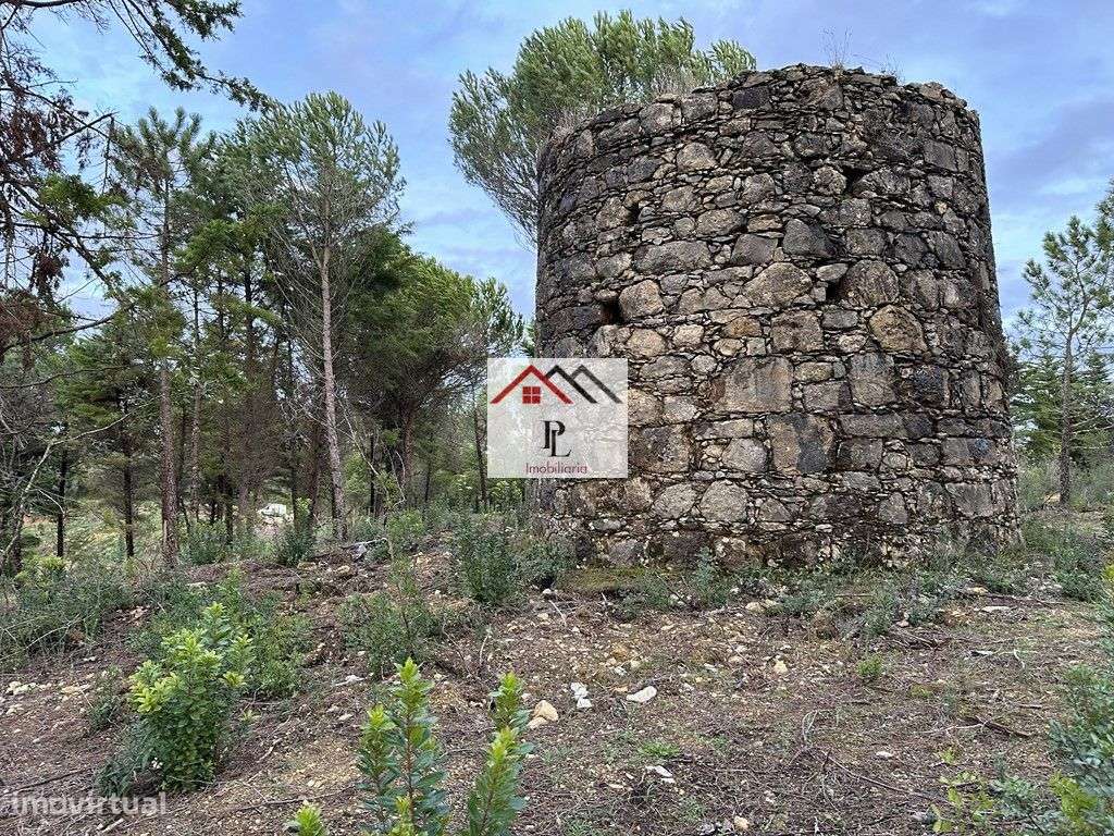 Terreno para loteamento  em Antanhol Coimbra (V811MA) - Grande imagem: 2/18