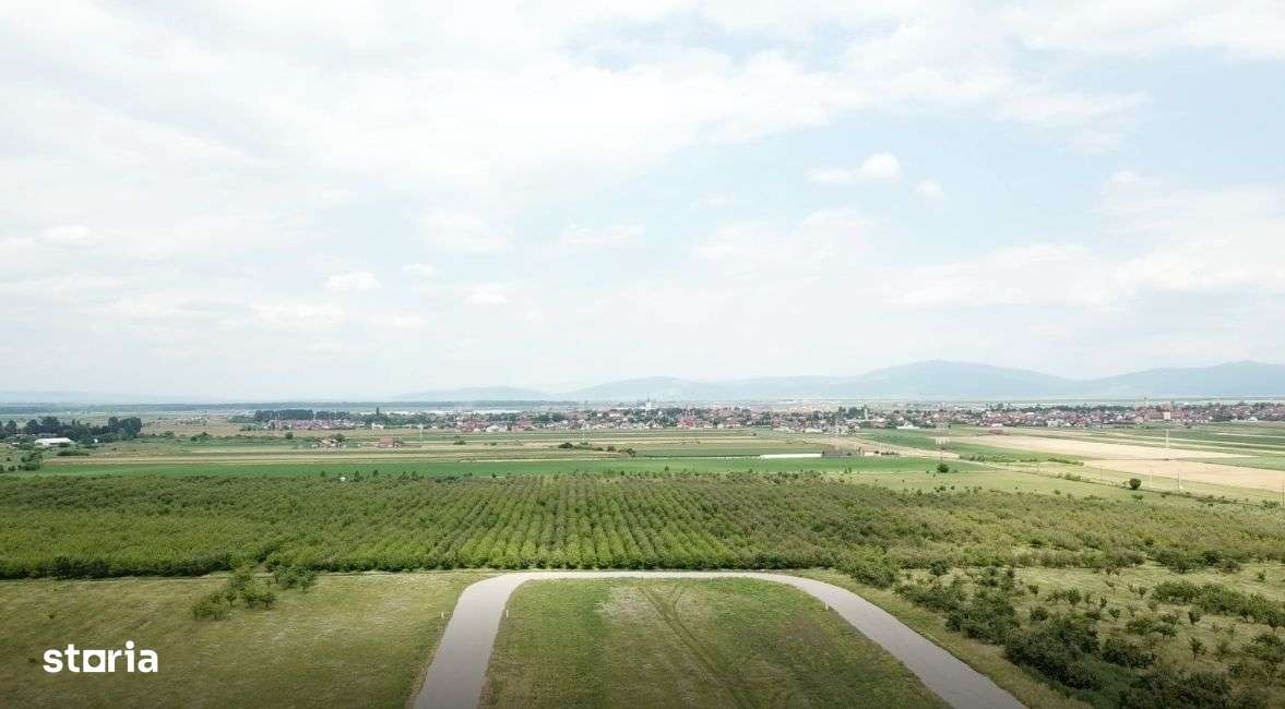 Vand teren intravilan Sanpetru la poalele Dealului Lempes-15