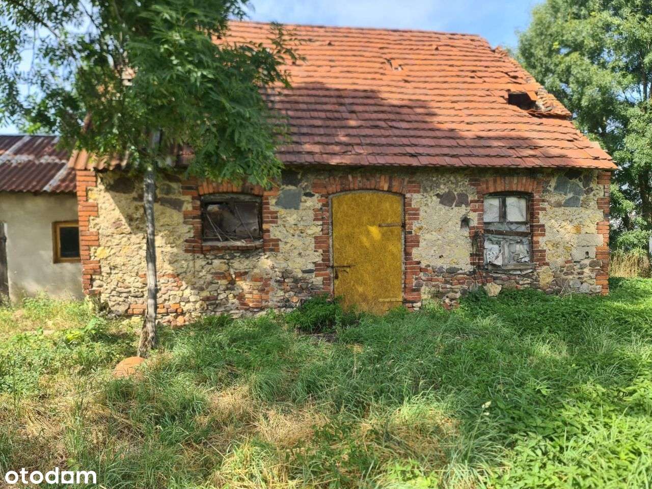 Działka 20 ar, zabudowania, Kadłub - Pełny obrazek: 4/7